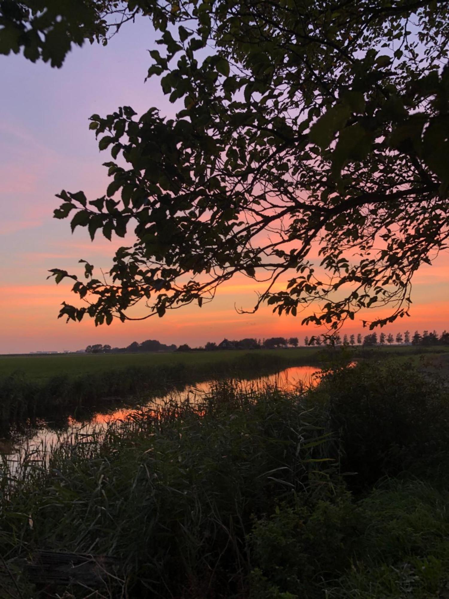 Albertine Agnes Tiny House Franeker Buitenkant foto